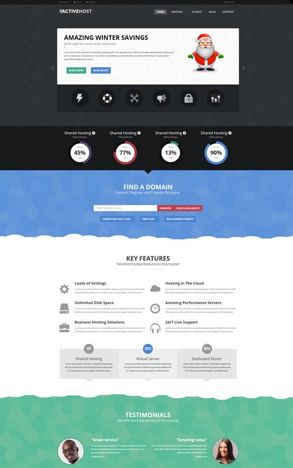 active hosting wordpress theme